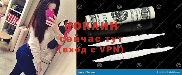 ПСИЛОЦИБИНОВЫЕ ГРИБЫ Богданович