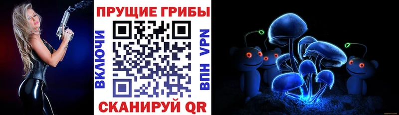 Псилоцибиновые грибы Magic Shrooms  наркота  Верхотурье 